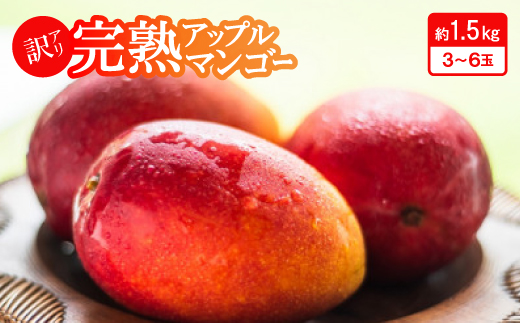 【2026年6月下旬から順次発送・訳あり】完熟アップルマンゴー約1.5kg(3玉～6玉)【配送不可地域：離島】