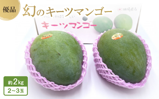 【2026年8月中旬から順次発送・贈答用】幻のキーツマンゴー約2kg(2玉～3玉)【配送不可地域：離島】