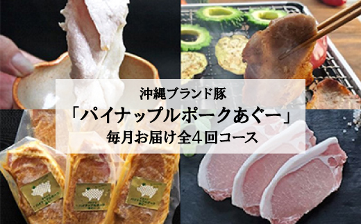 【毎月定期便】4ヵ月定期便!パイナップル ポーク あぐー 満腹セット全4回【配送不可地域：離島】