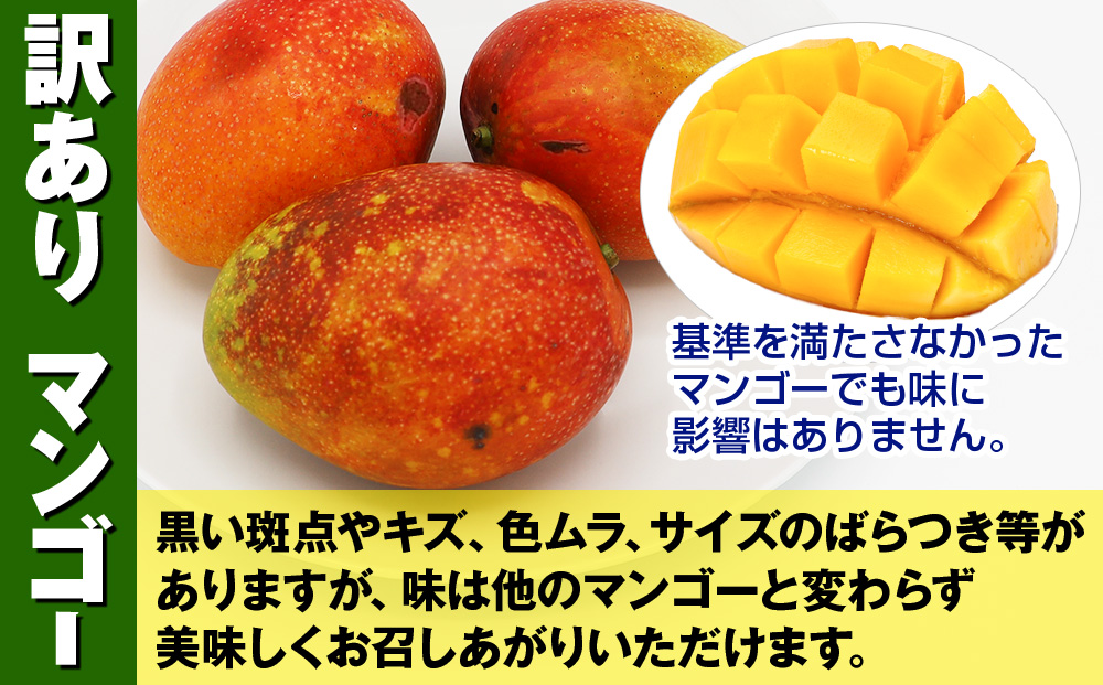 【訳あり】2026年発送　生産組合から直送　神里マンゴー1.5kg