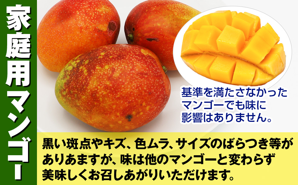 【2026年発送】大城正雄マンゴー農園　アーウィンマンゴー　家庭用1kg
