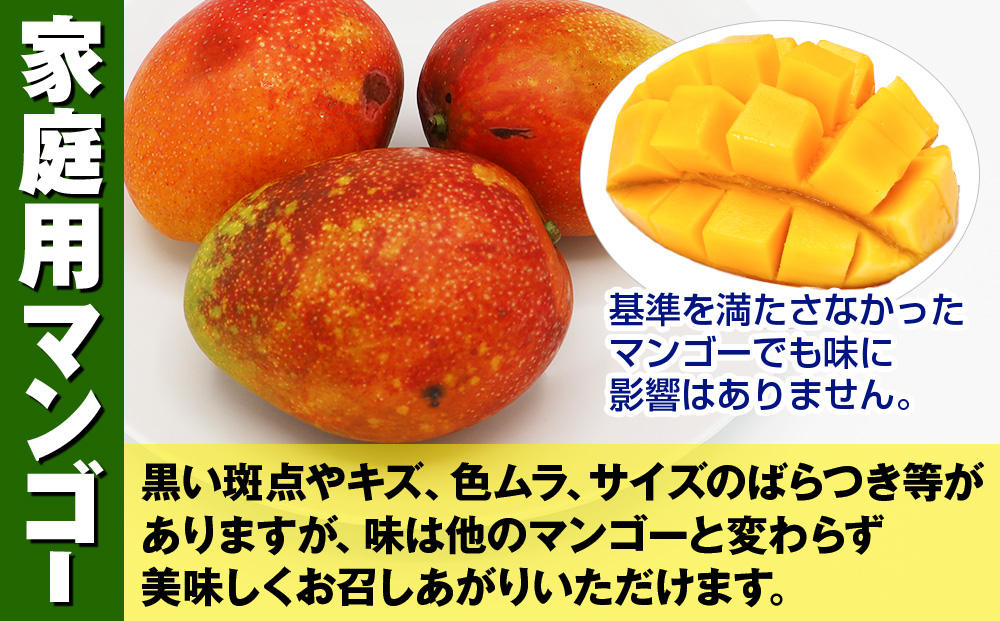 【2026年発送】南風原農園　家庭用アーウィンマンゴー2kg