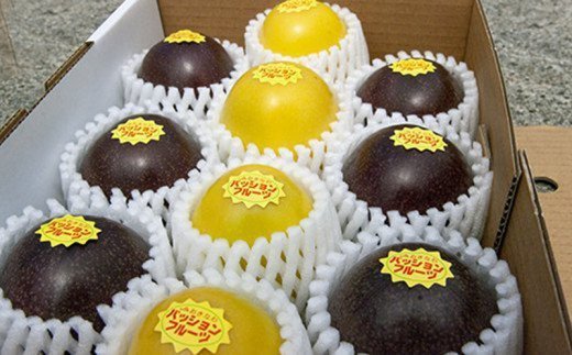 【2026年発送】津嘉山パッションフルーツ　黄色種入り　約1kg