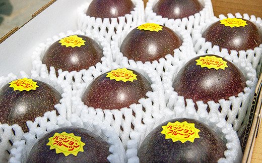 【2026年発送】津嘉山パッションフルーツ　約1kg