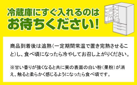 【2026年発送】沖縄県産キーツマンゴー2kg