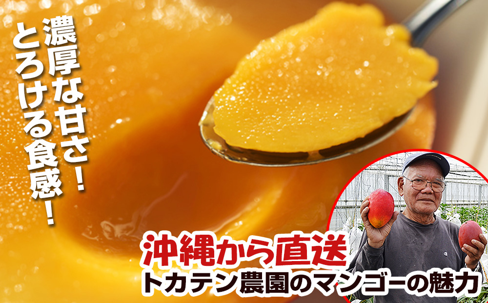 【2026年発送】濃厚な甘さ！とろける食感！沖縄県産マンゴー1kg