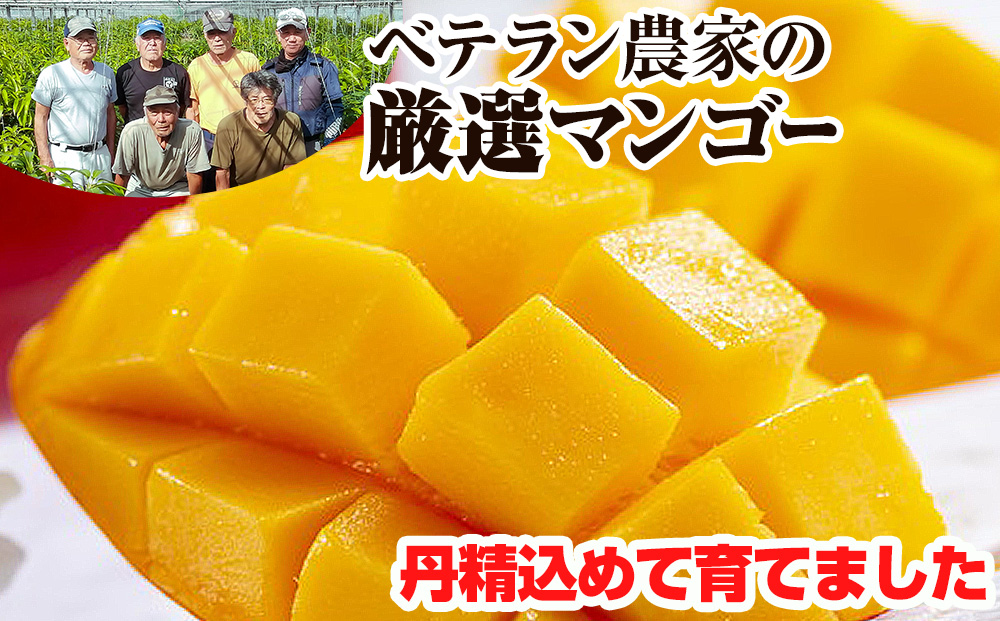 【2026年発送】生産組合が育てる南風原の味　神里マンゴー2kg