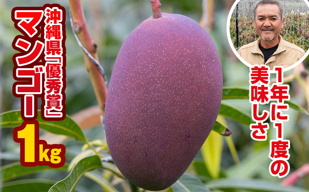 【2026年発送】芳醇な香り　とろける食感　沖縄県「優秀賞」マンゴー1kg