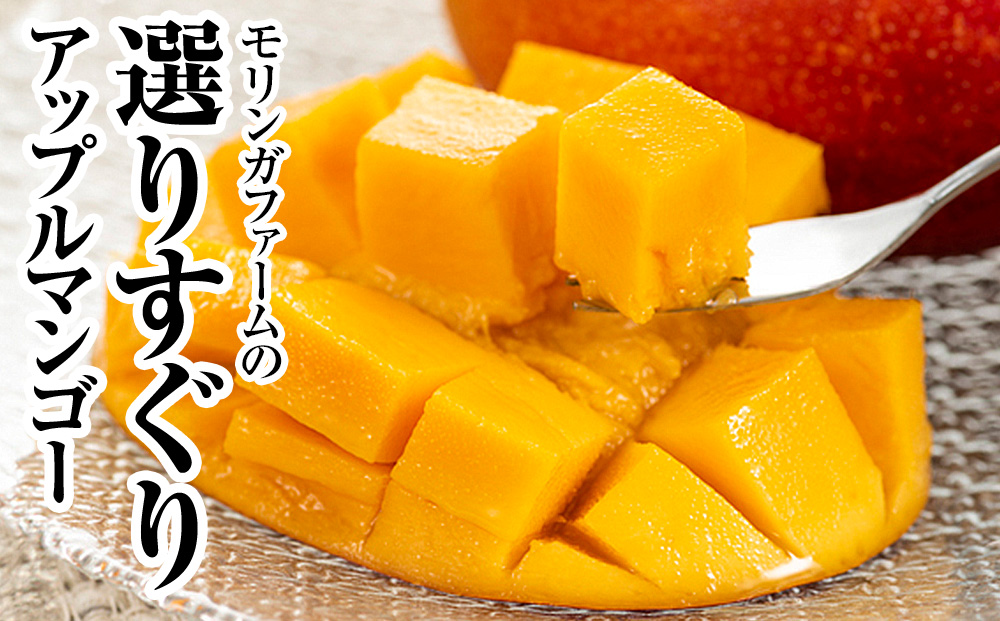 【2026年発送】直売所で厳選　沖縄県産「完熟マンゴー」1kg