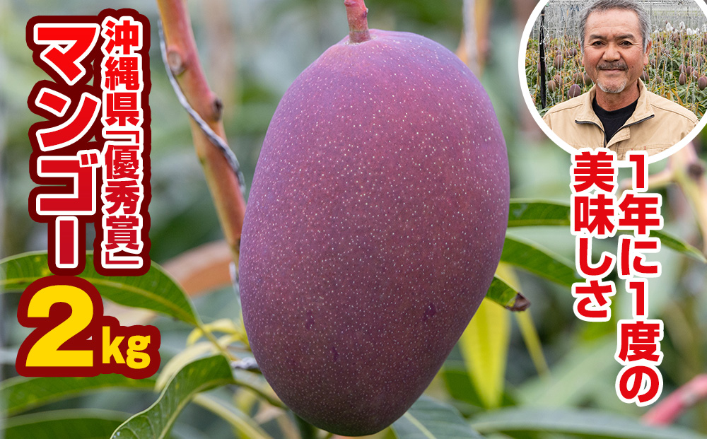 【2026年発送】芳醇な香り　とろける食感　沖縄県「優秀賞」マンゴー2kg