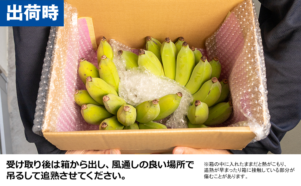 【沖縄県産】寛尚ファームのワクワクバナナ　2kg