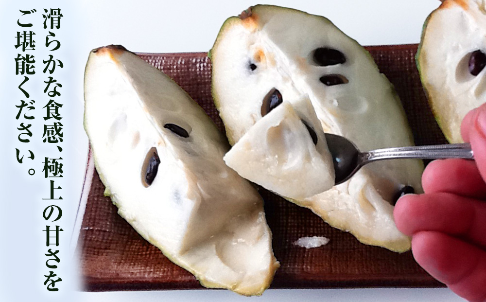 【2025年12月中旬から順次発送】アテモヤ 2kg “森のアイスクリーム”とも呼ばれる希少なフルーツ