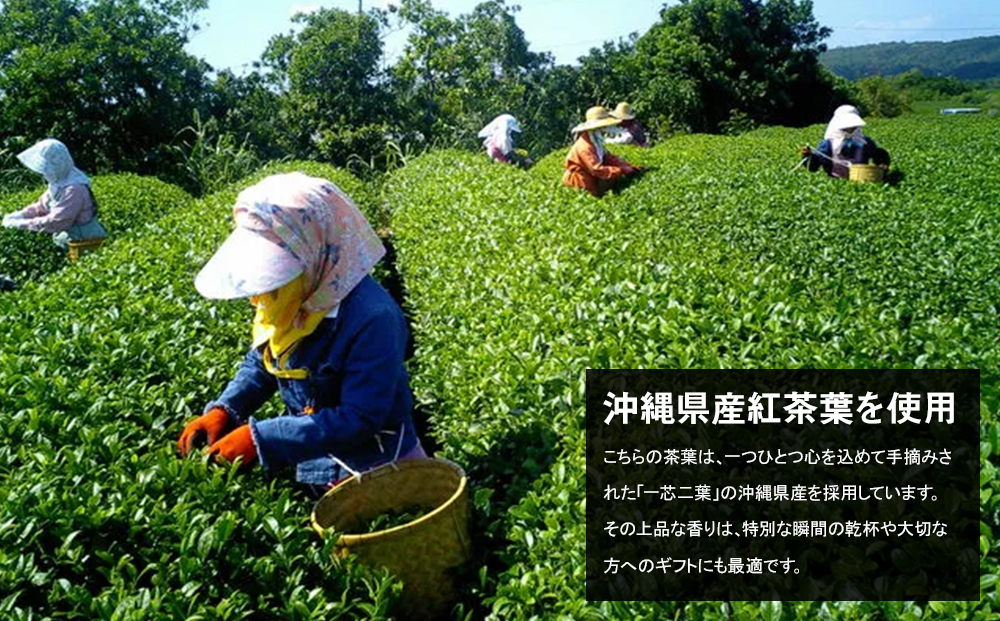 【琉球泡盛】瑞泉酒造　宵の紅茶　500ml　12%　アールグレイ香る泡盛紅茶リキュール