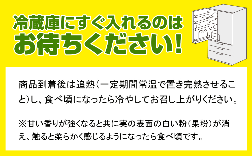 【2026年発送】沖縄県産キーツマンゴー1.5kg