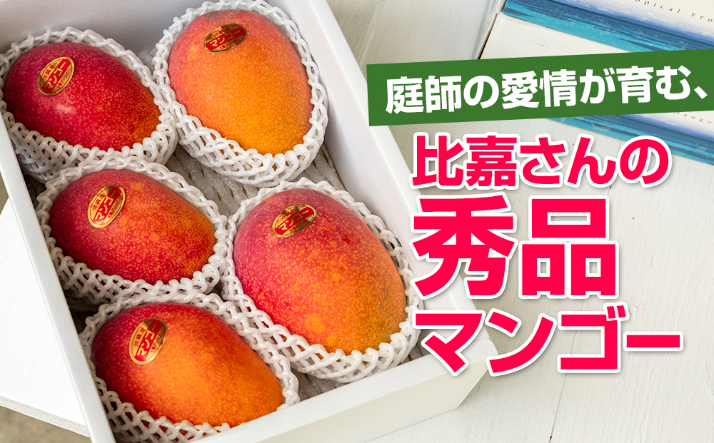 【2026年発送】比嘉マンゴーファームのアーウィンマンゴー　秀品（贈答用）2kg