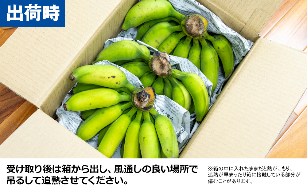 【沖縄本島産】浜ファームの「アップルバナナ」　3kg