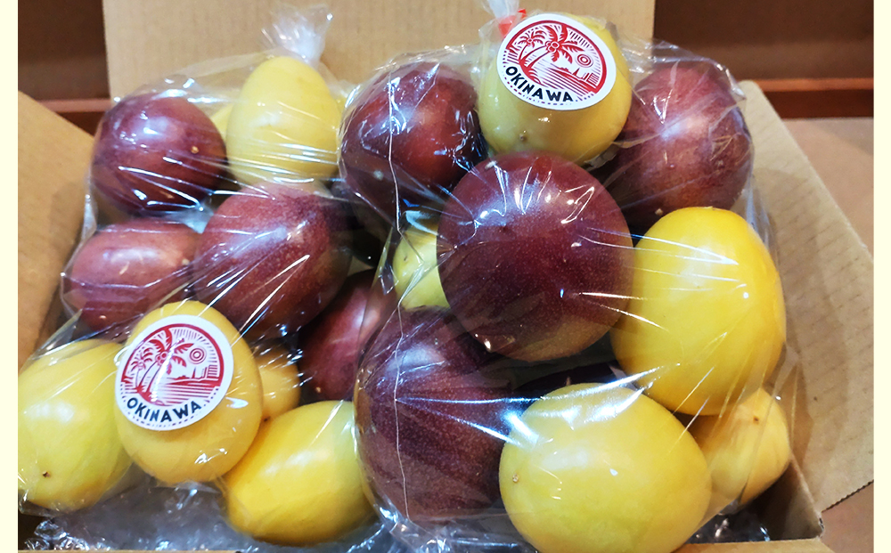 【2026年発送】パッションベビー食べ比べセット　家庭用1.5kg