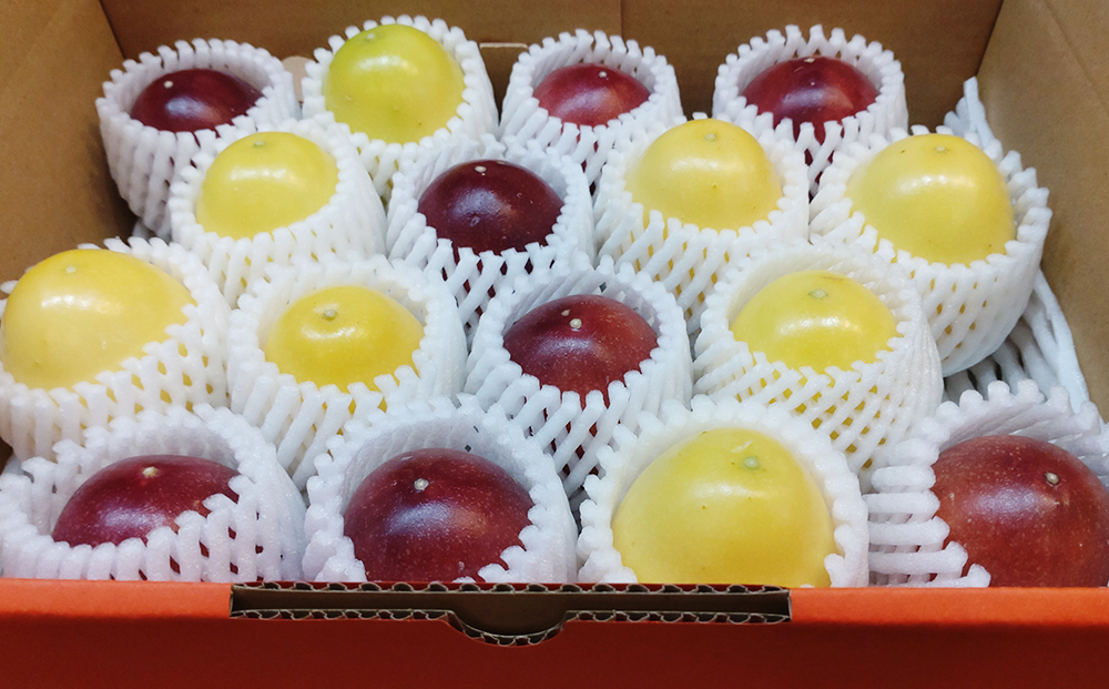 【2026年発送】沖縄からの贈り物　美らパッションの宝石箱1kg