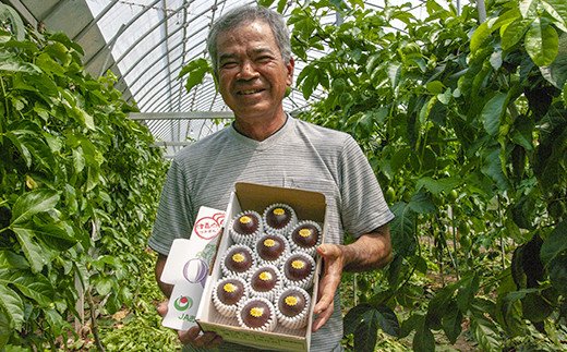 【2026年発送】津嘉山パッションフルーツ　約1kg