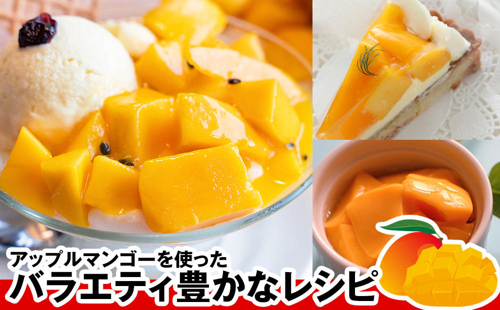 【2026年発送】南国の果物　沖縄県産アップルマンゴー　2kg