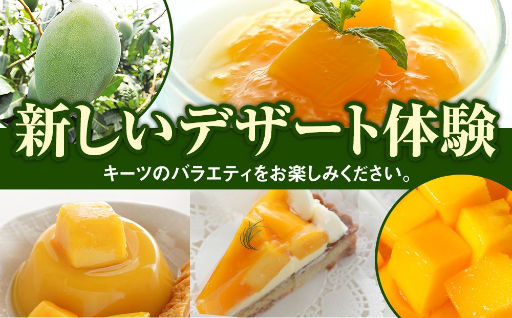 【2026年発送】南風原農園　丹精込めた「キーツマンゴー」2kg