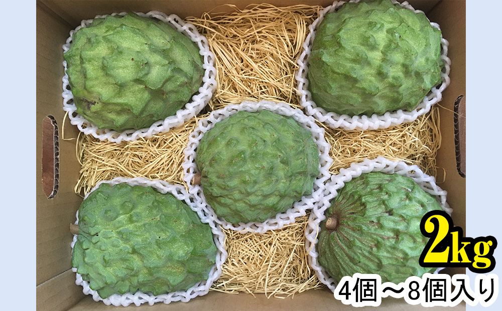 【2025年12月中旬から順次発送】アテモヤ 2kg “森のアイスクリーム”とも呼ばれる希少なフルーツ