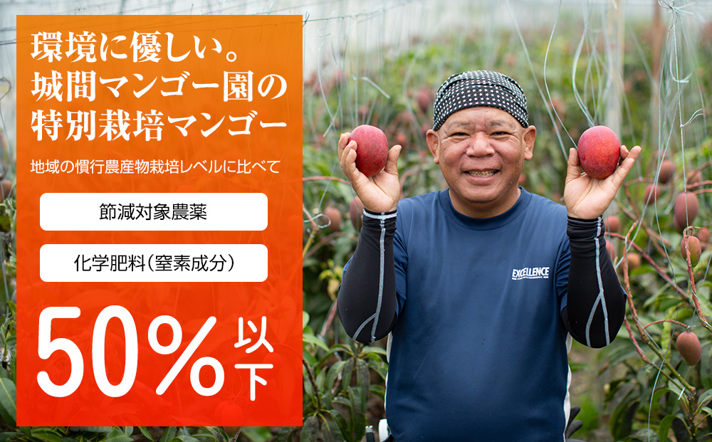 【2026年発送】城間マンゴー園　家庭用　アーウィンマンゴー1kg　特別栽培農産物