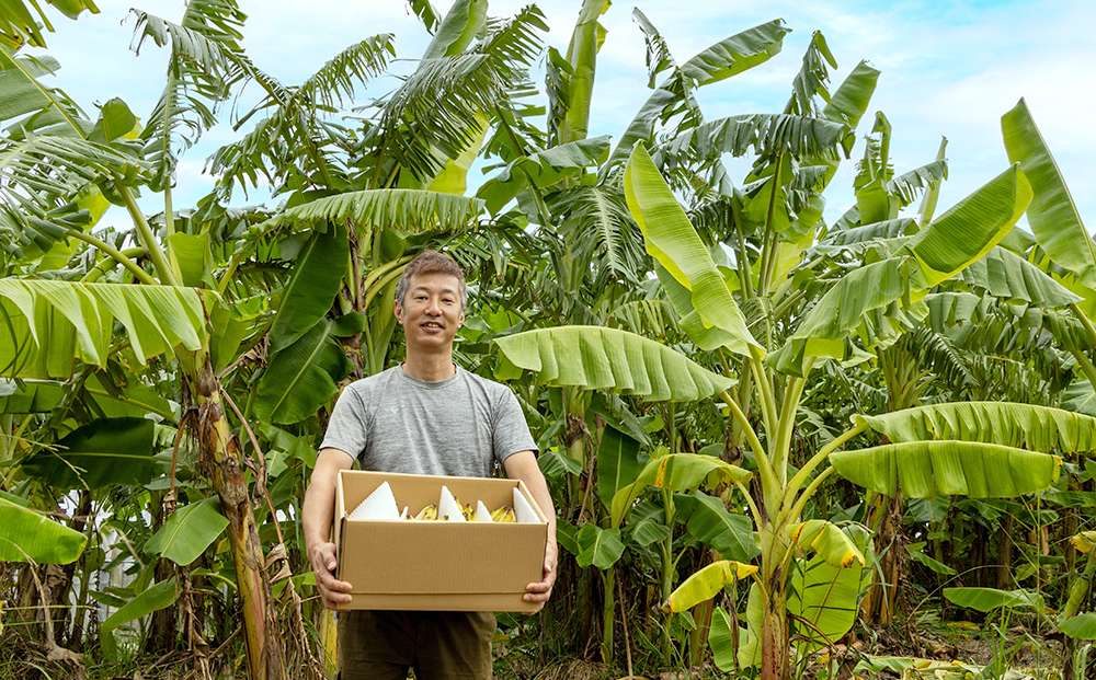 【小分け】モリンガファームさんご園芸のアップルバナナ5kg