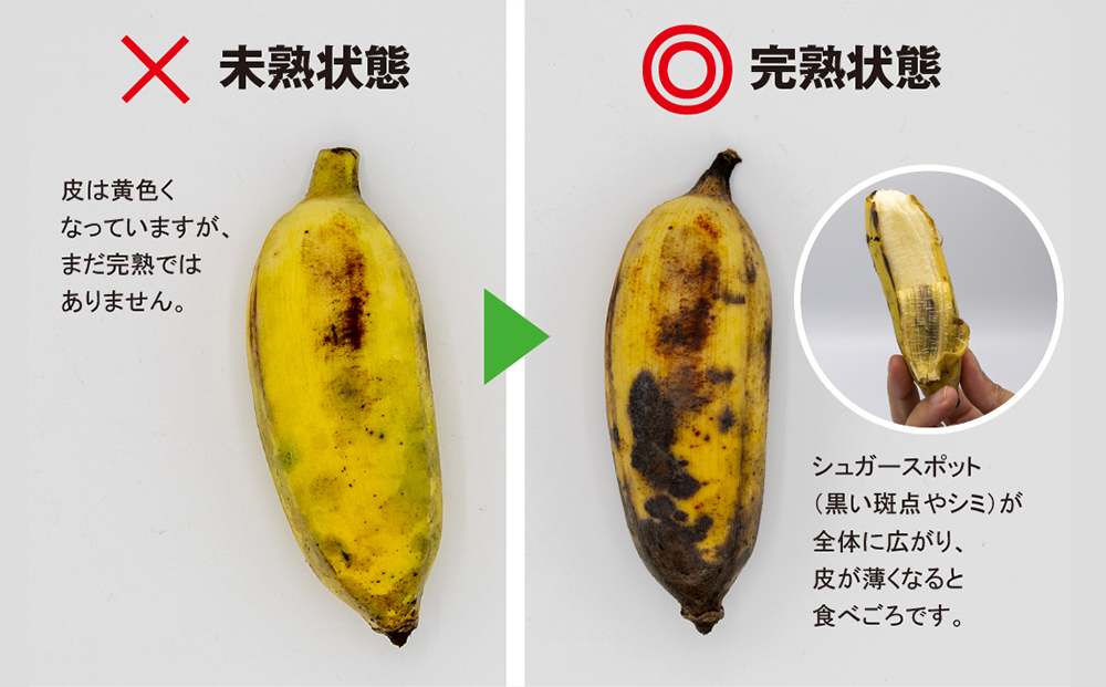 【沖縄本島産】浜ファームの「アップルバナナ」　3kg