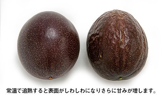 【2026年発送】津嘉山パッションフルーツ　黄色種入り　約1kg