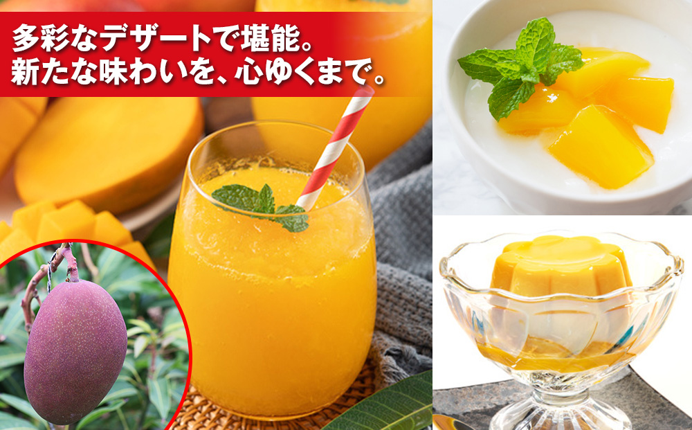 【2026年発送】濃厚な甘さ！とろける食感！沖縄県産マンゴー2kg