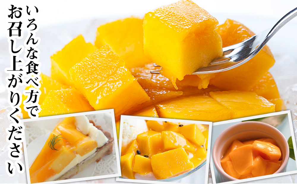 【2026年発送】生産組合が育てる南風原の味　神里マンゴー2kg