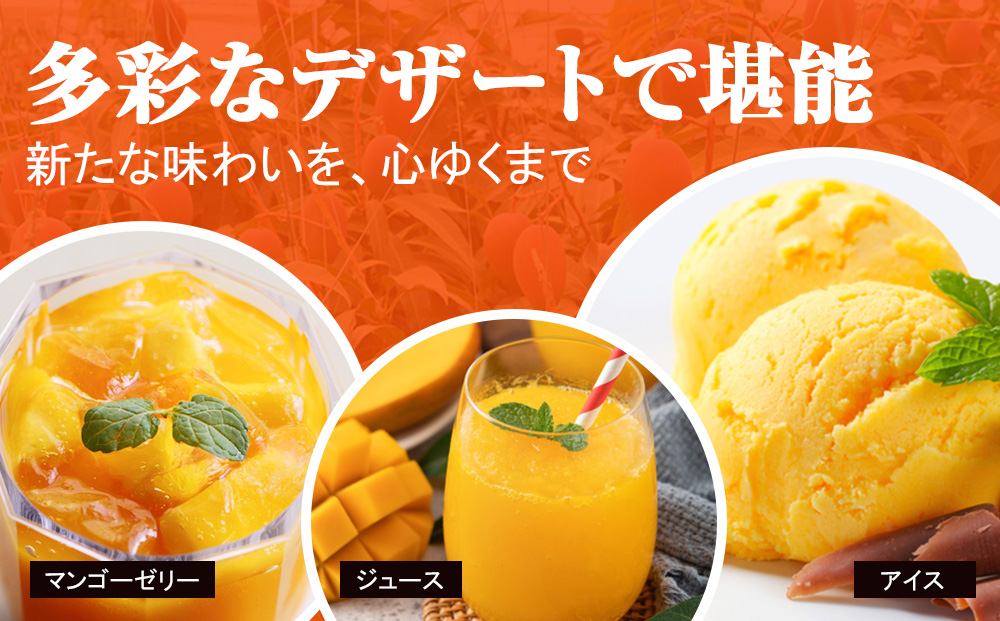 【2026年発送】数量限定！プレミアム完熟マンゴー1kg　贈答用