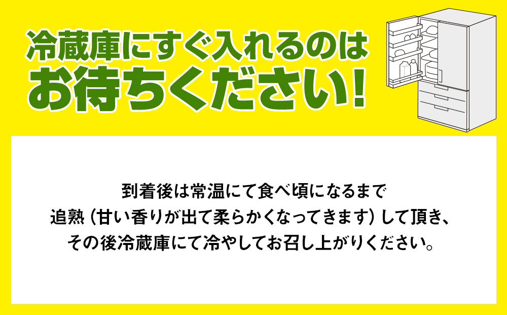 【2026年発送】南国の果物　沖縄県産マンゴー　赤キンコー　2kg