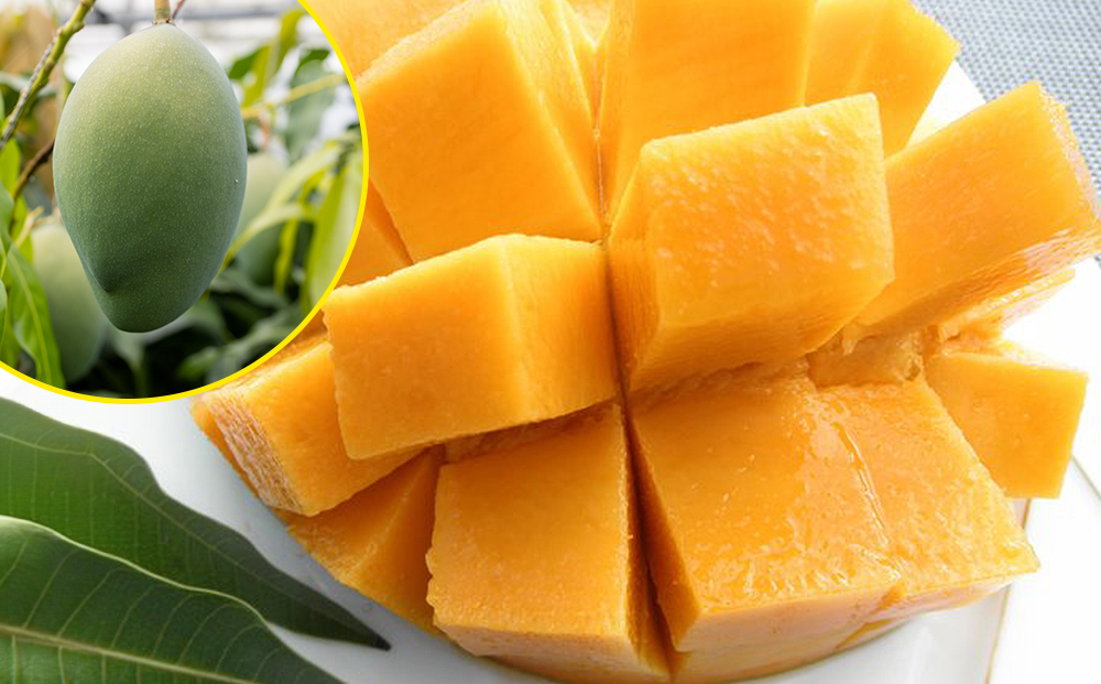 【2026年発送】沖縄県産キーツマンゴー1.5kg