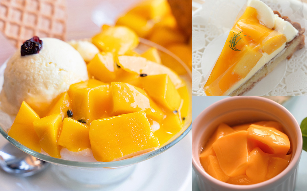 【2026年発送】大城正雄マンゴー農園　アーウィンマンゴー　贈答用1kg