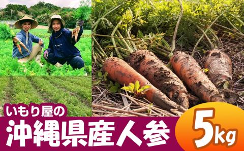 【2026年発送】いもり屋の沖縄県産　人参　5kg