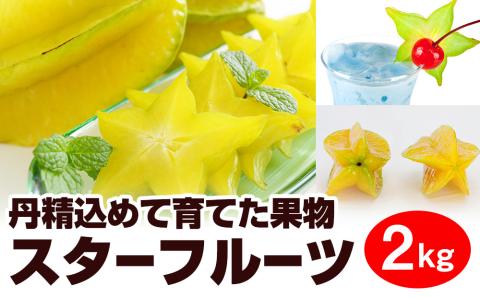 【2026年1月から順次発送】丹精込めて育てた果物　スターフルーツ　2kg