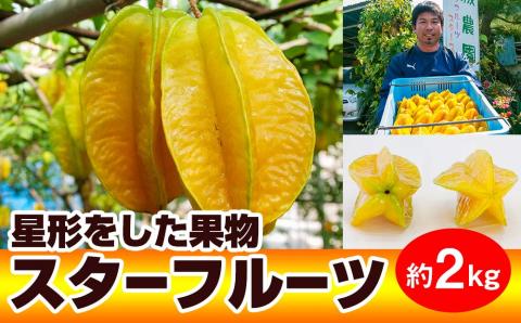 【2026年1月から順次発送】星形をした果物　スターフルーツ　約2kg