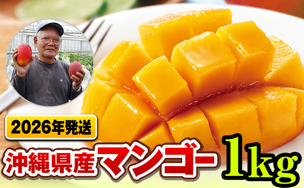 【2026年発送】濃厚な甘さ！とろける食感！沖縄県産マンゴー1kg