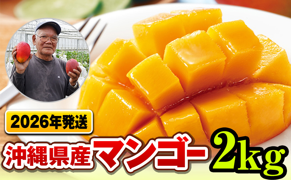 【2026年発送】濃厚な甘さ！とろける食感！沖縄県産マンゴー2kg