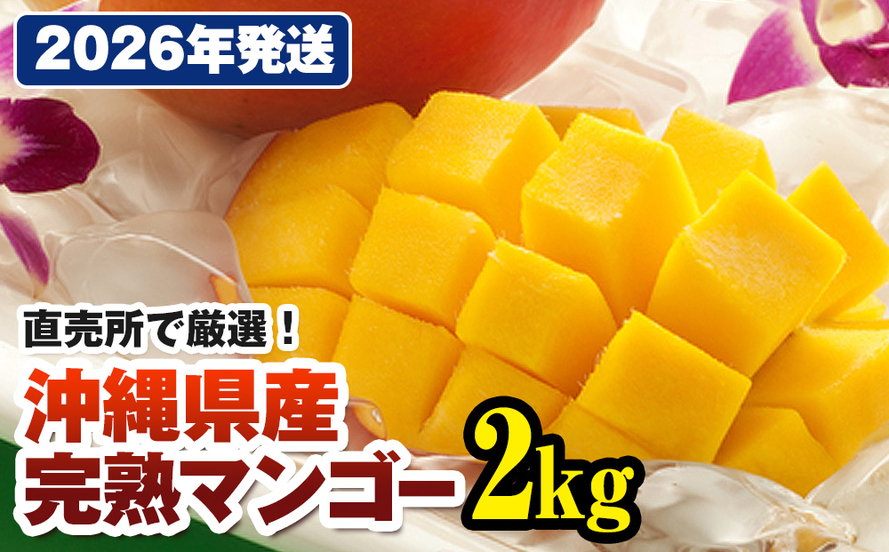 【2026年発送】直売所で厳選　沖縄県産「完熟マンゴー」2kg