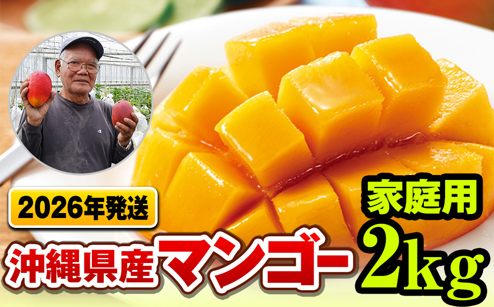 【2026年発送】濃厚な甘さの沖縄県産マンゴー2kg（家庭用）