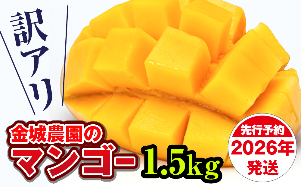 【訳あり】2026年発送　金城農園のマンゴー1.5kg