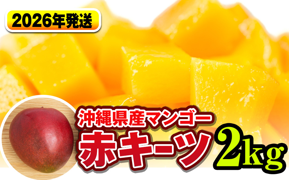 【2026年発送】南国の果物　沖縄県産マンゴー　赤キーツ　2kg
