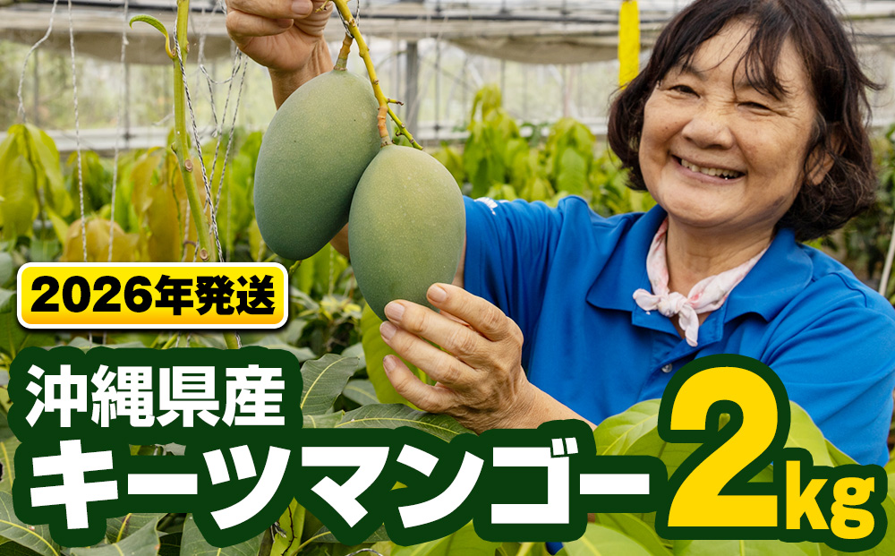 【2026年発送】沖縄県産キーツマンゴー2kg