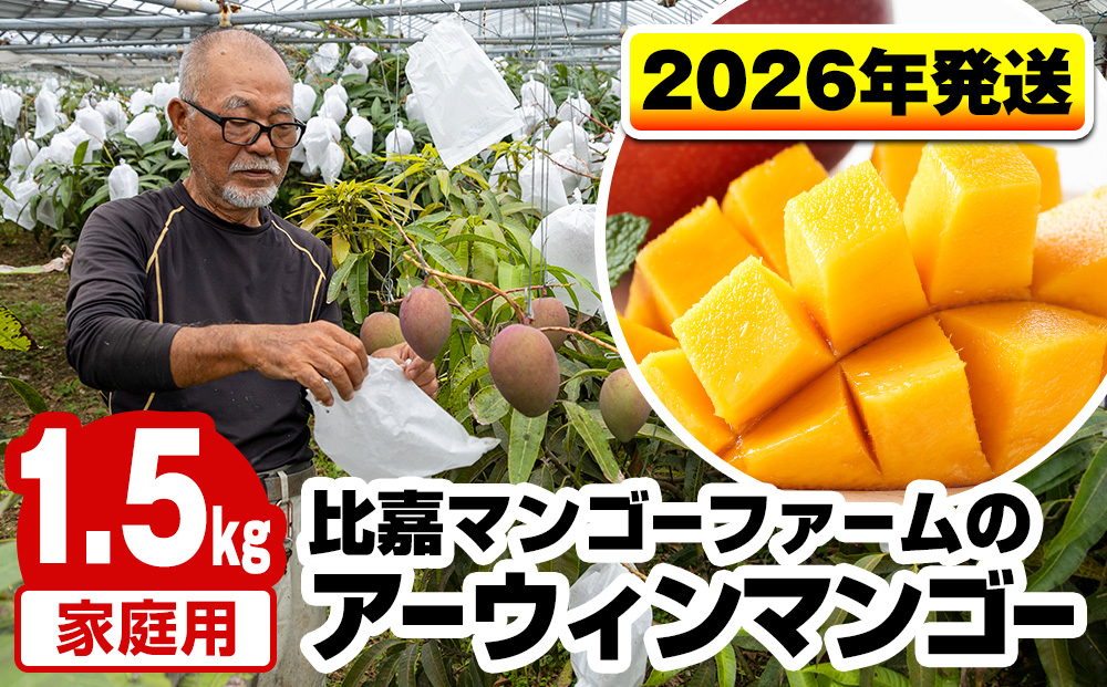 【2026年発送】比嘉マンゴーファームのアーウィンマンゴー　家庭用1.5kg
