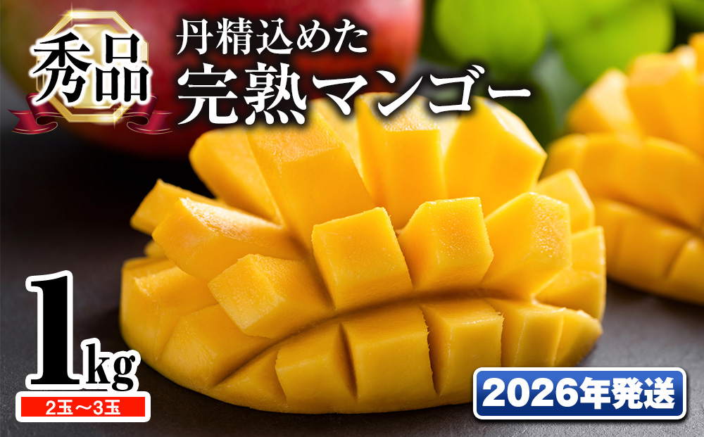 【2026年発送】「秀品」丹精込めた完熟マンゴー1kg　2玉～3玉