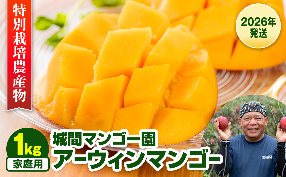 【2026年発送】城間マンゴー園　家庭用　アーウィンマンゴー1kg　特別栽培農産物