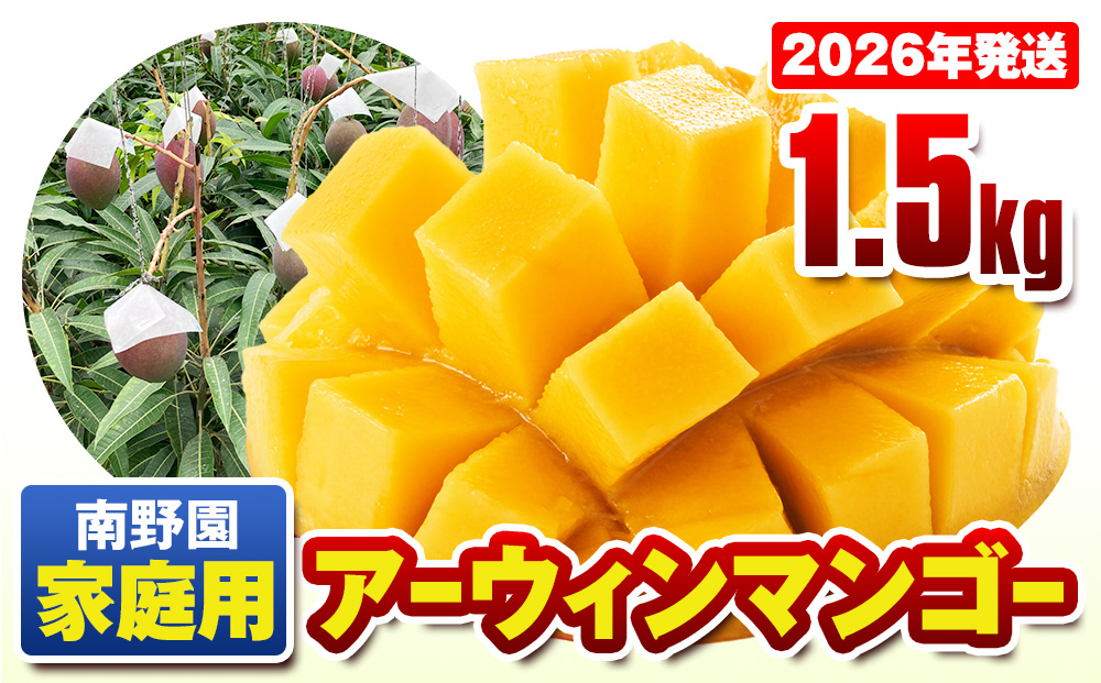 【2026年発送】南野園　家庭用　アーウィンマンゴー1.5kg